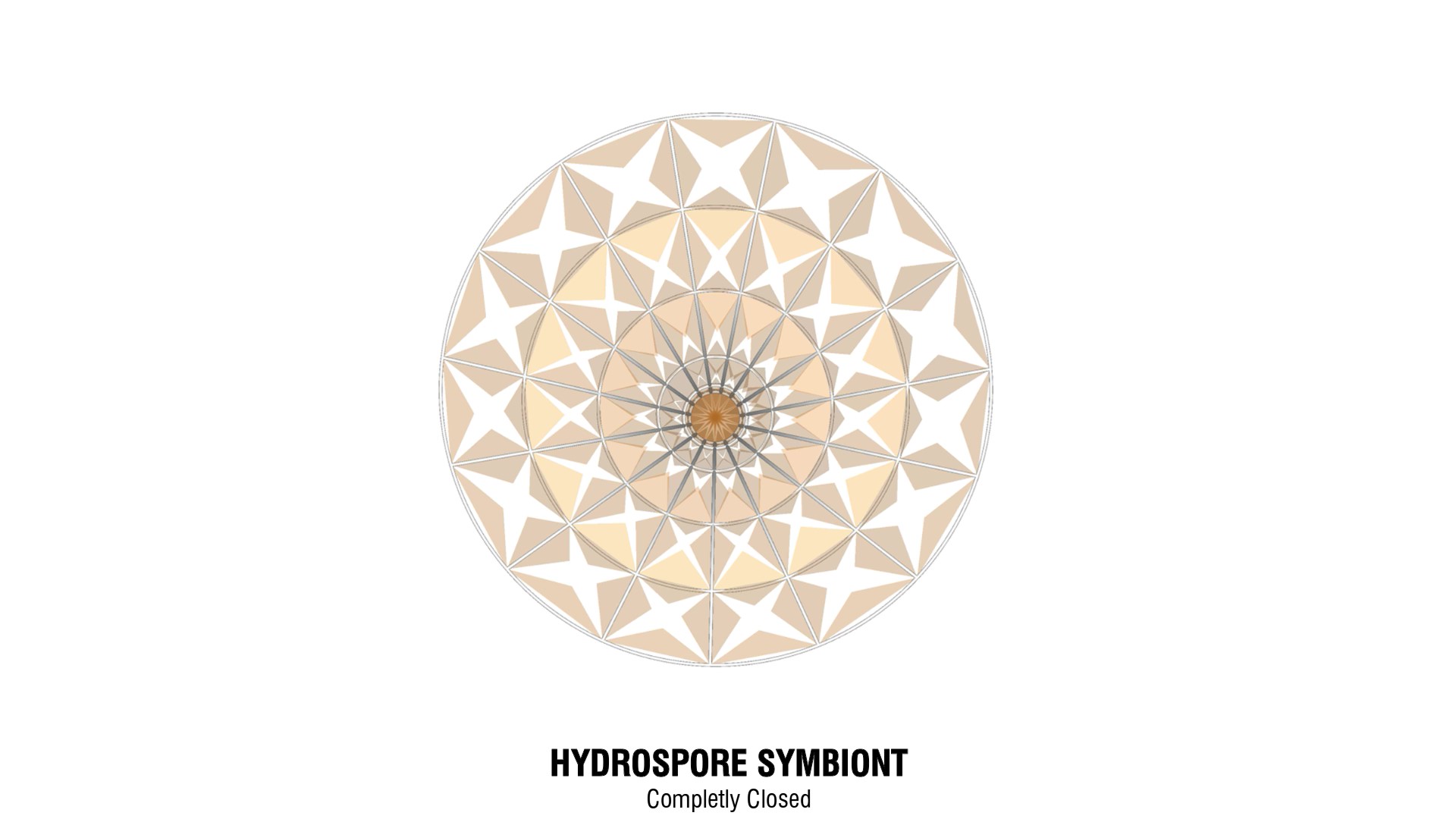HYDRASPORE SYMBIONT