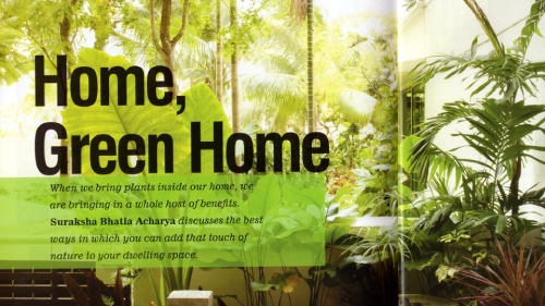 Living Inside Out | Home, Green Home